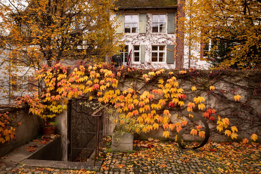 Herbst am Nadelberg