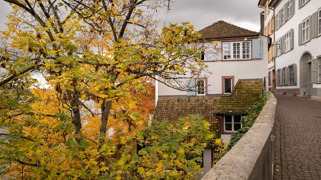 Herbst am Münsterberg