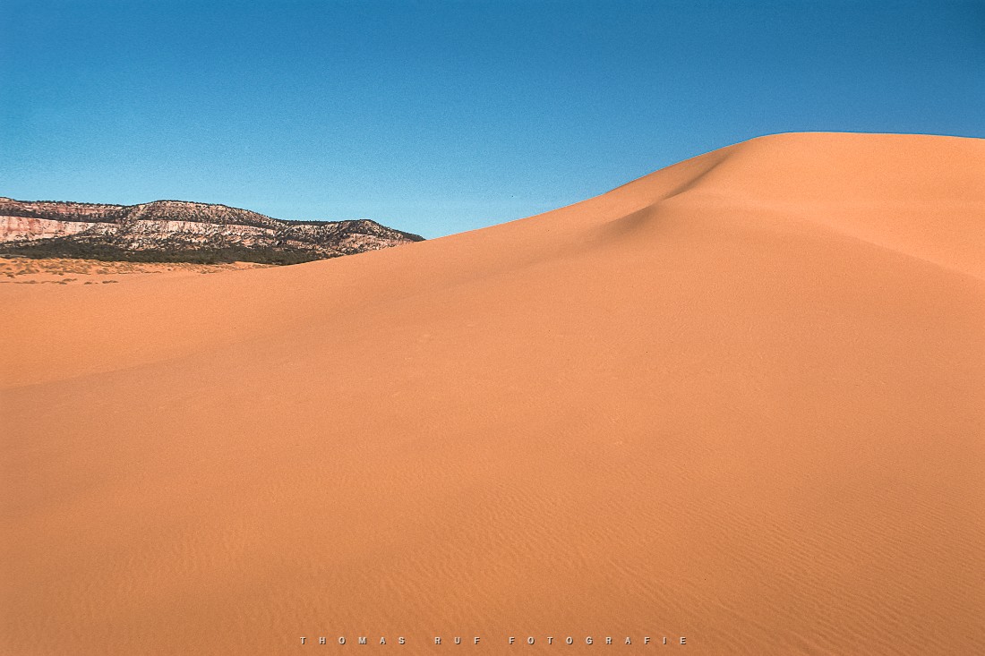 Coral Pink Sand Dunes State Park in Utah