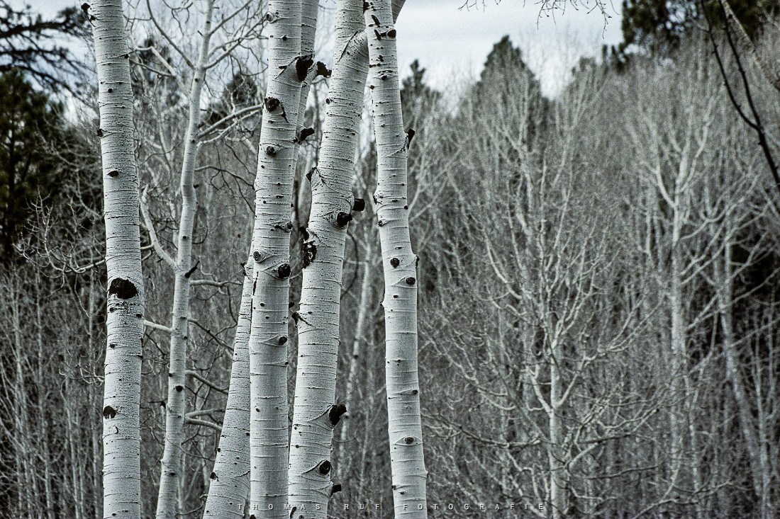 Boulder, Utah