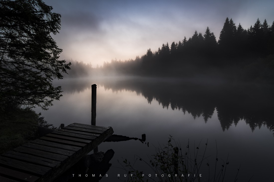 Etang de la Gruère JU