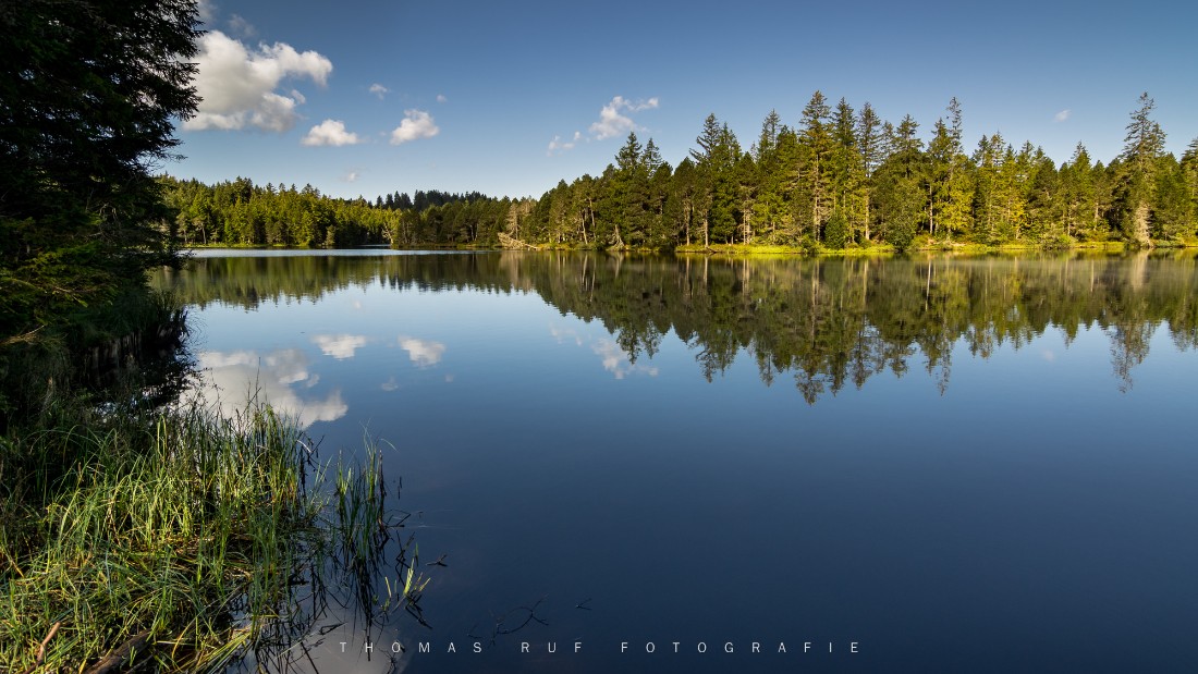 Etang de la Gruère JU