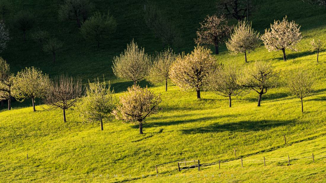 Bretzwil BL