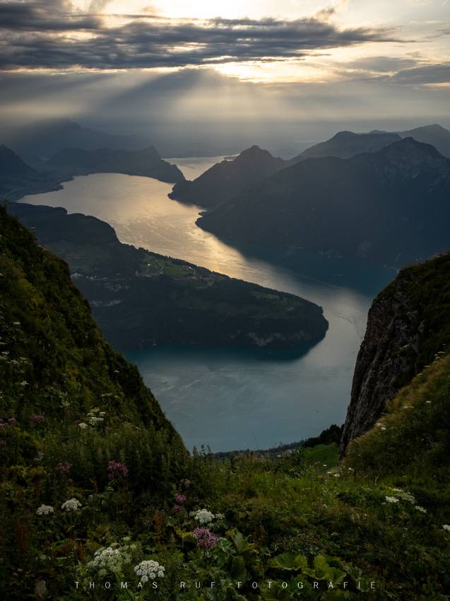 Blick vom Fronalpstock SZ auf den Vierwaldstättersee