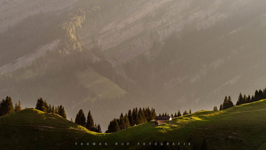 Aussicht vom Kronberg AI