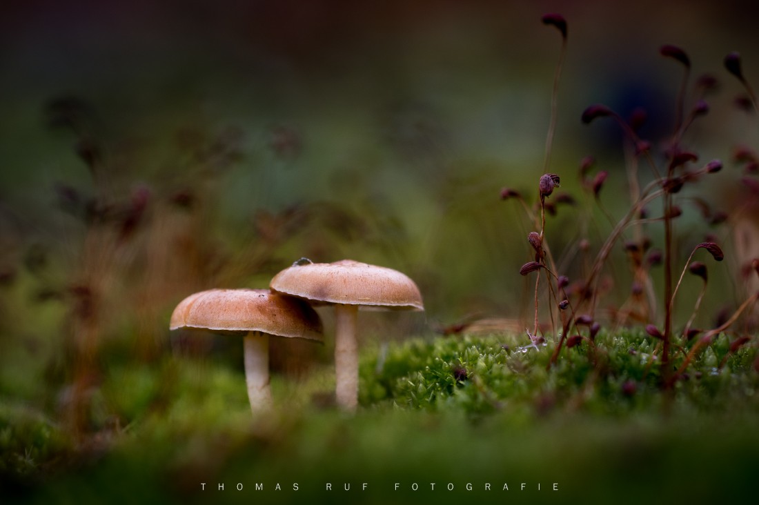 2015 10 25 007