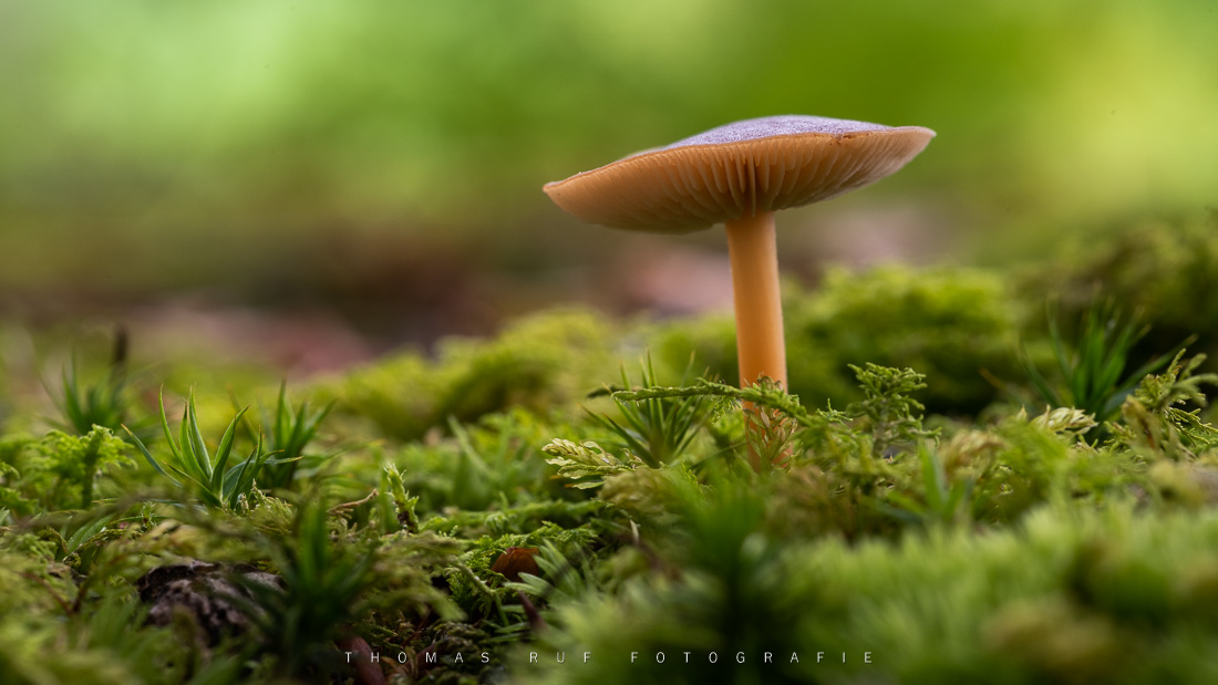 2019 09 27 006 3