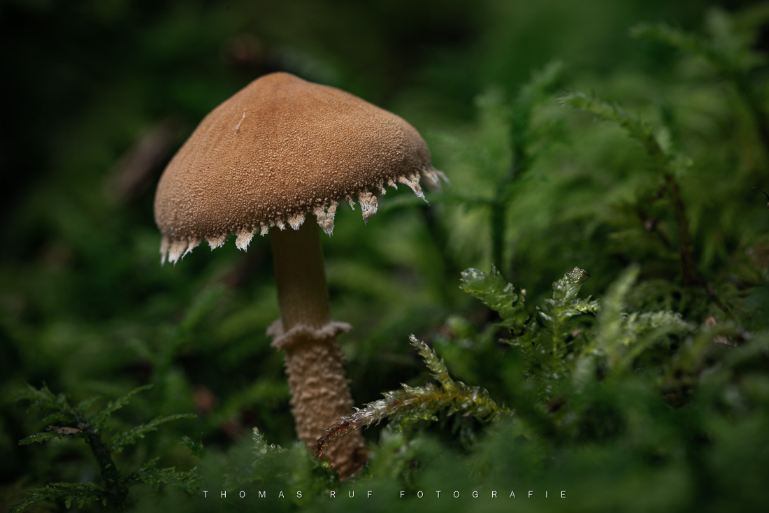 2019 10 15 019