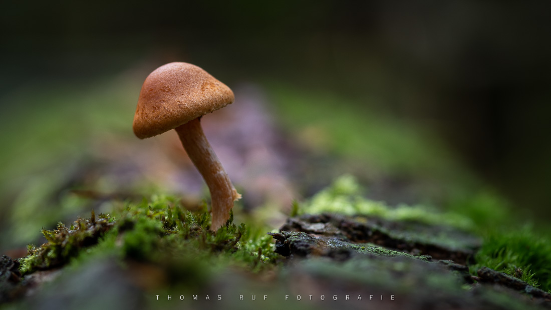2020 10 11 002 2