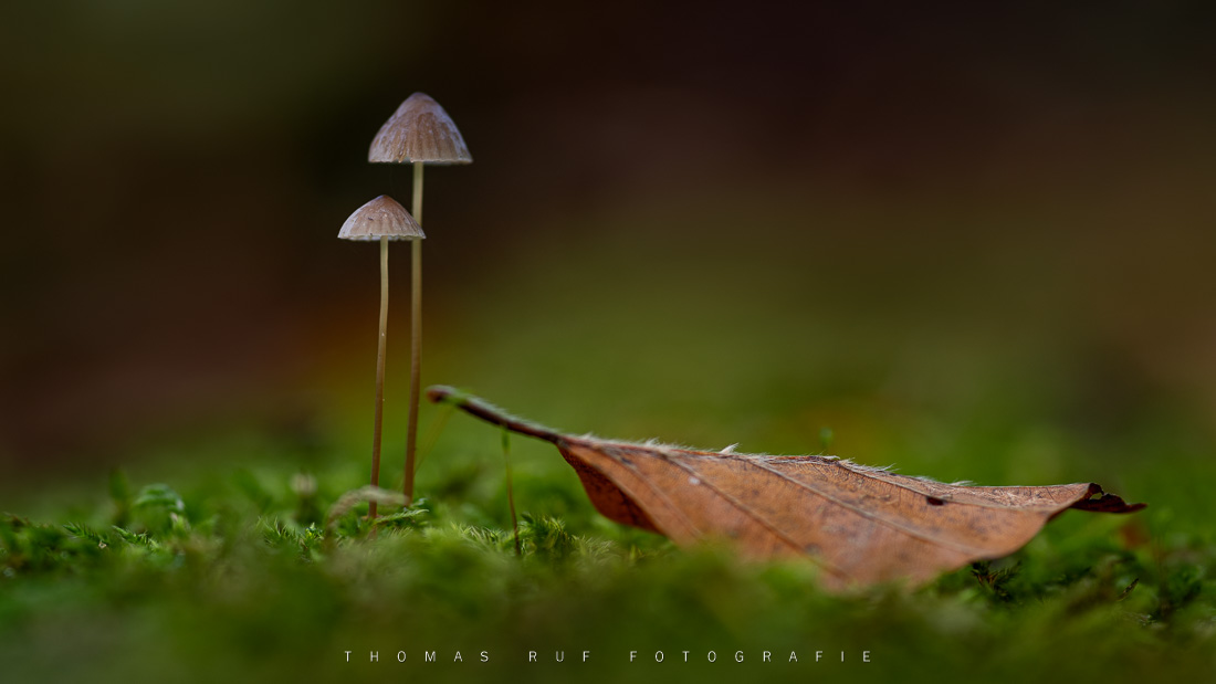 2020 10 19 021