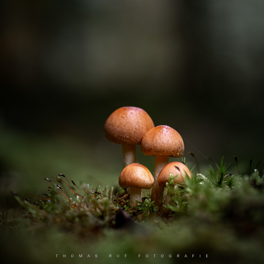 2020 10 31 028
