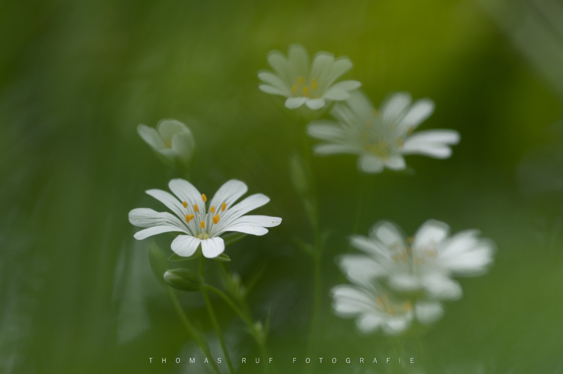 2013 05 09 027
