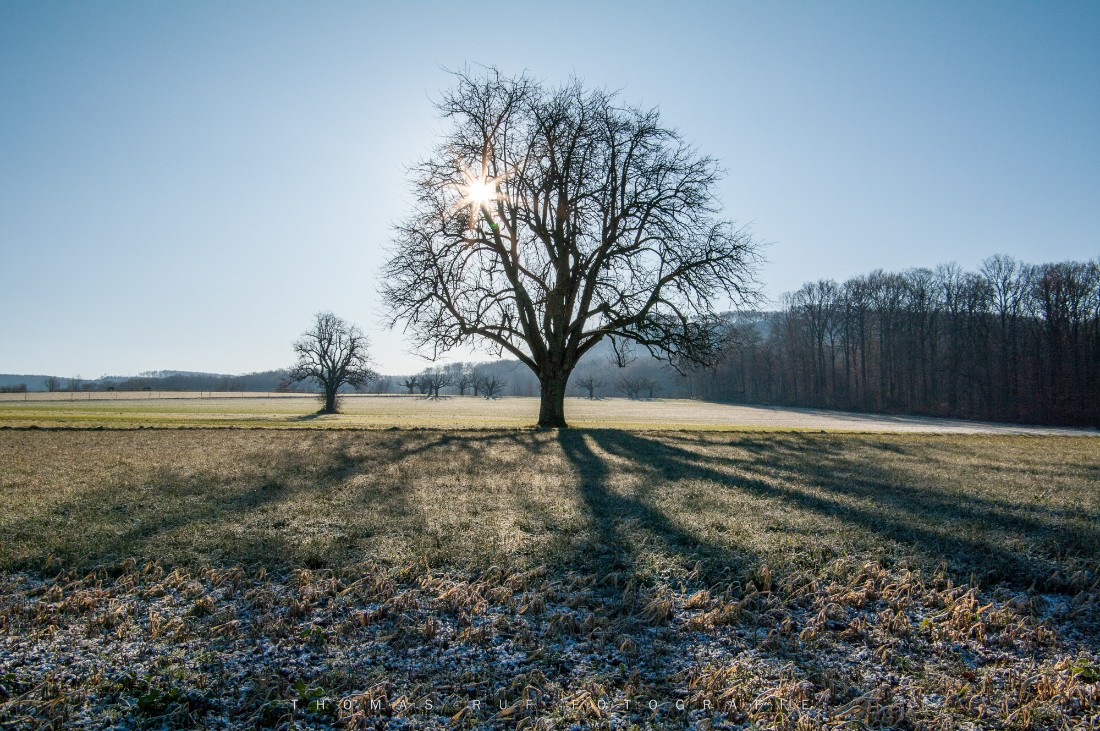 2010 01 03 020