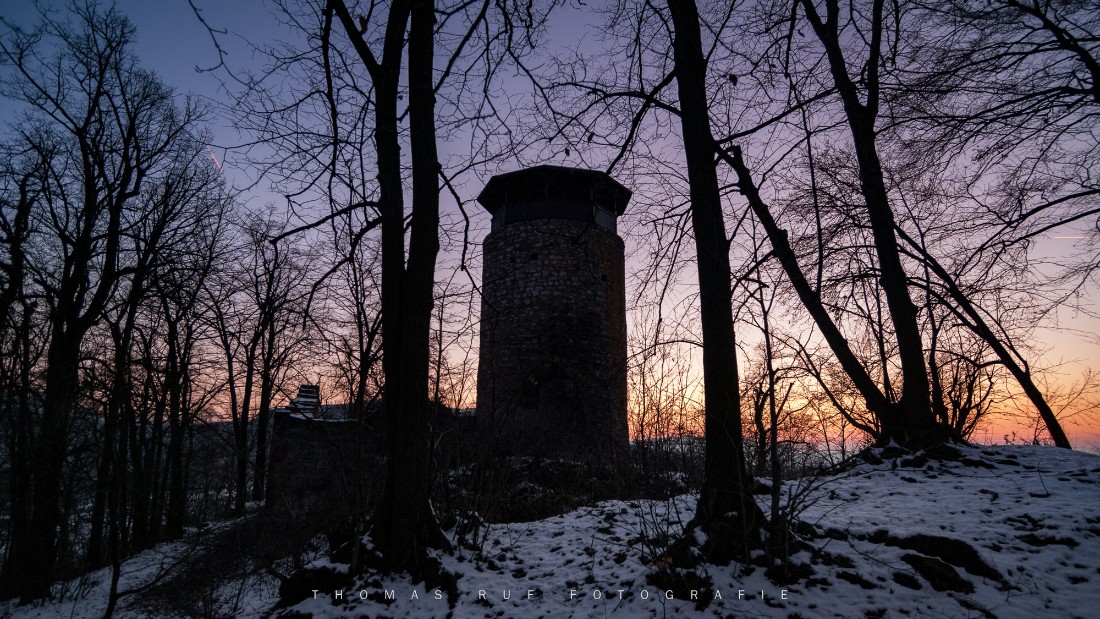 2011 01 23 028