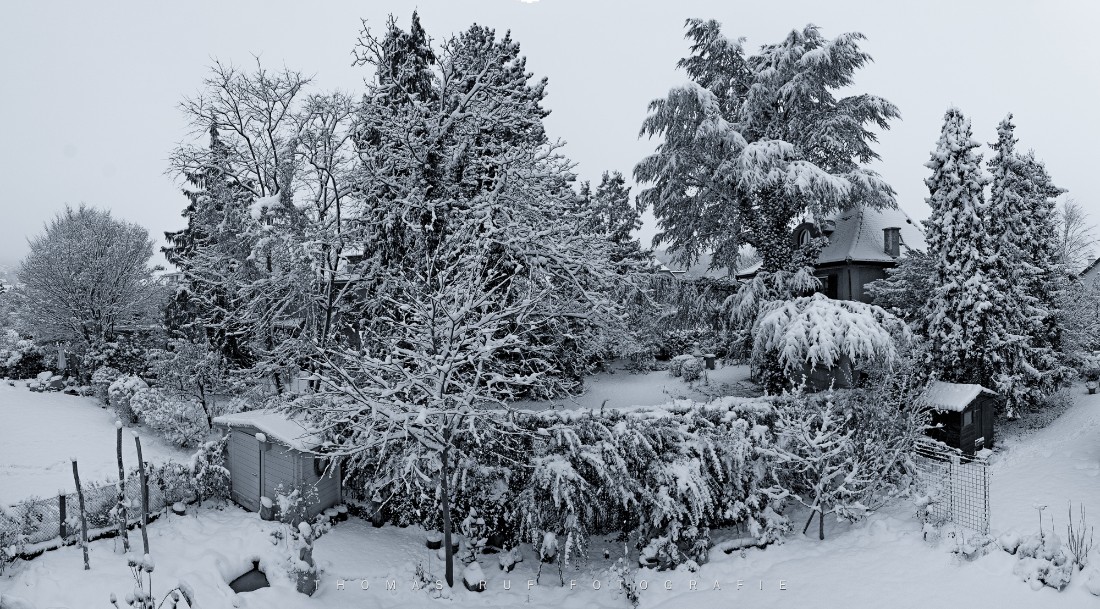2012 12 08 006 Pano