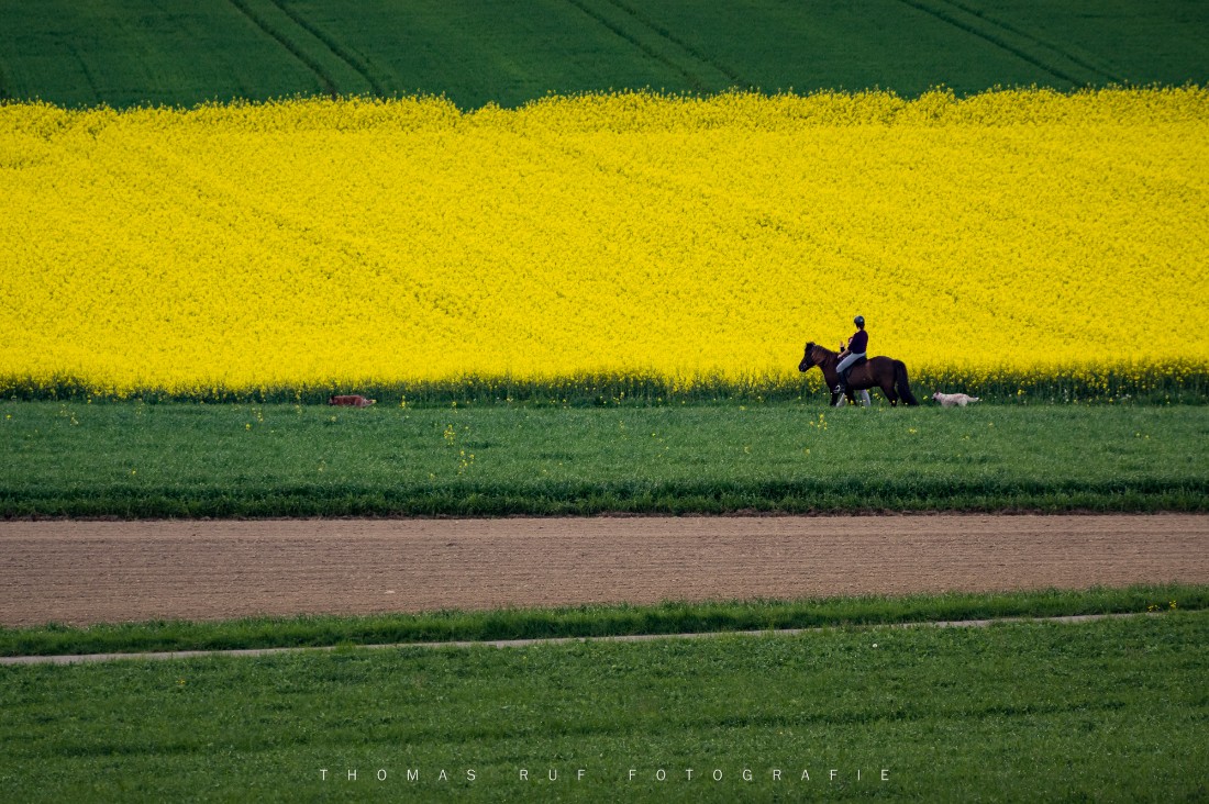 2014 04 22 006