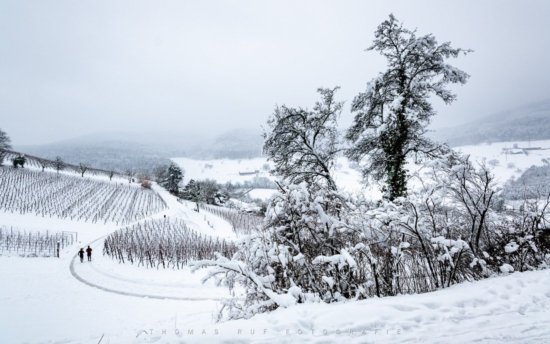 Wintermärchen am Wartenberg