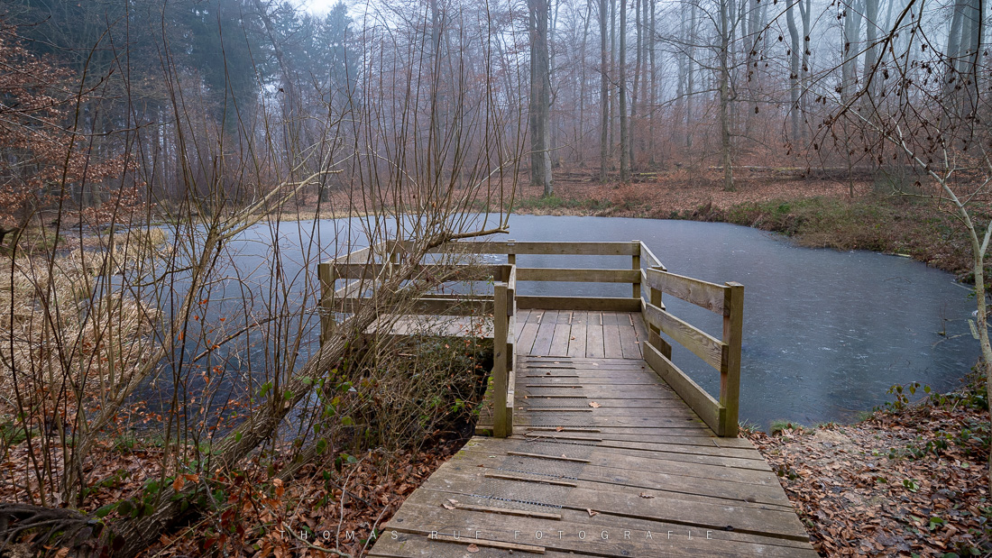 Rothallenweiher