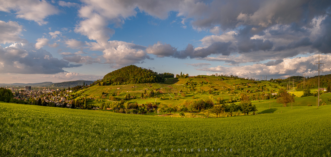 2024 04 18 011 Pano