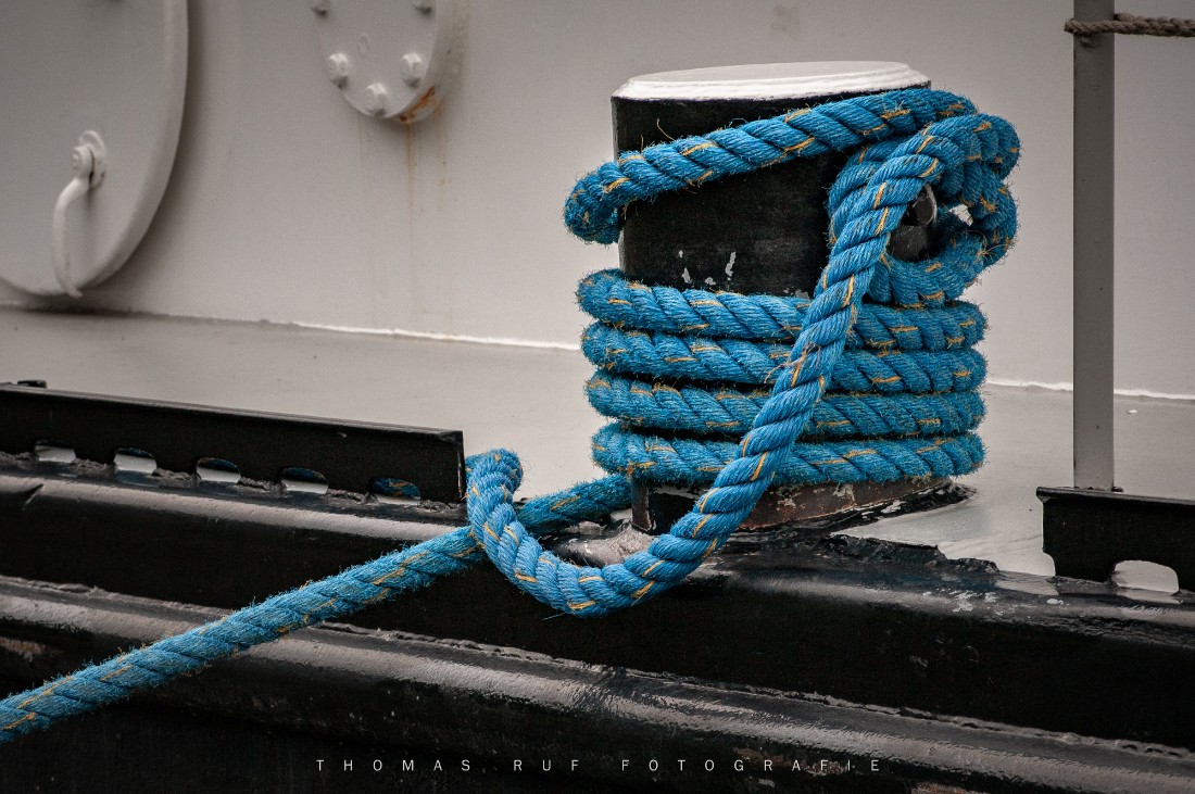 2011 08 06 009