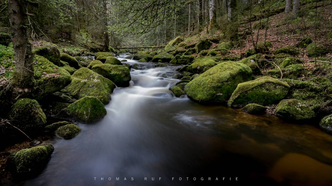 Südlicher Schwarzwald