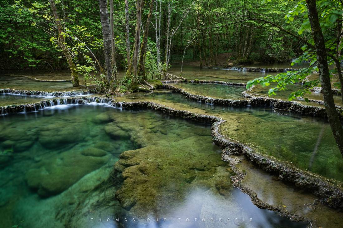 Franche-Comté
