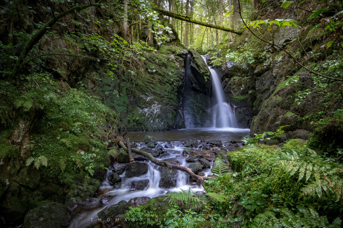 Südlicher Schwarzwald