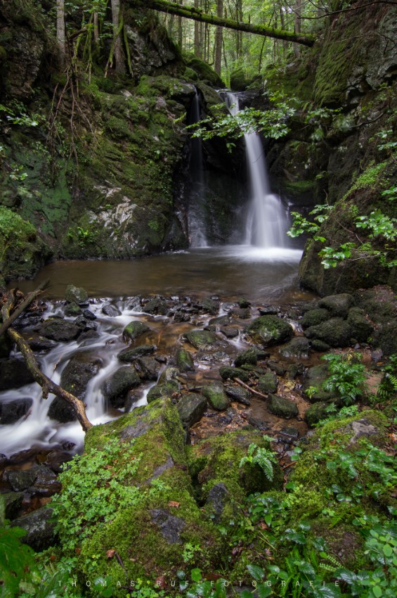 Südlicher Schwarzwald