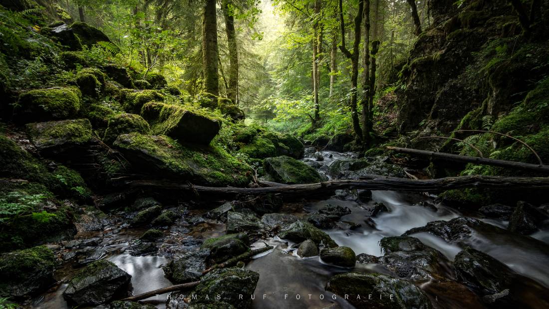 Südlicher Schwarzwald