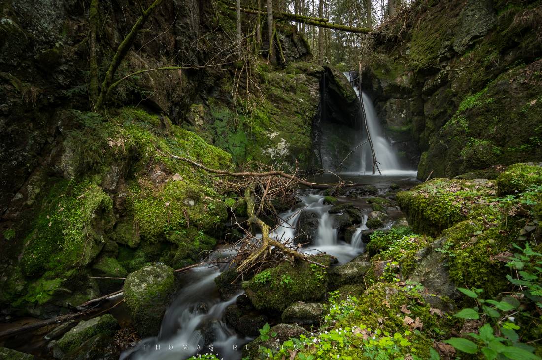 Südlicher Schwarzwald