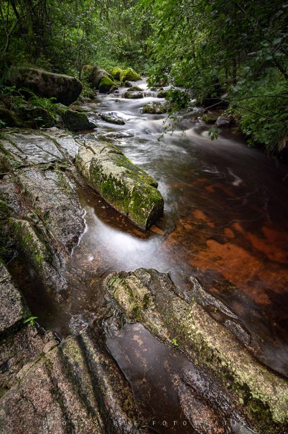 Südlicher Schwarzwald