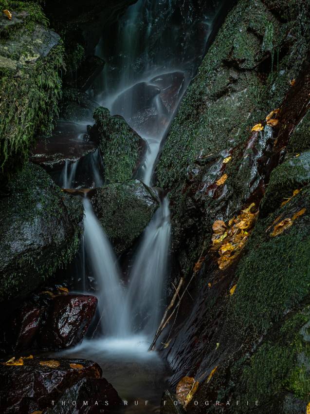 Südlicher Schwarzwald