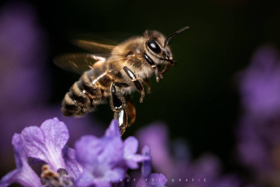 2013 06 30 032