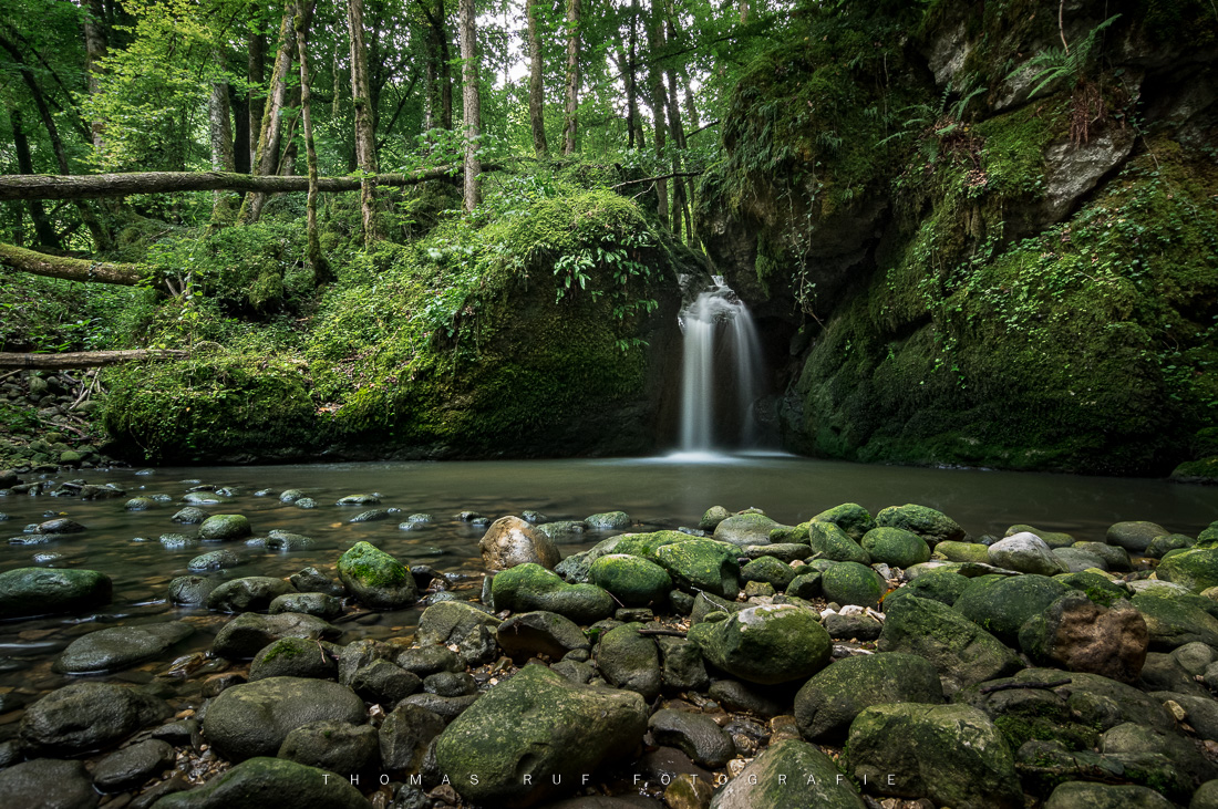 Wasserfall im grünen Wald mit moosbedeckten Steinen – Naturaufnahme aus dem Baselland