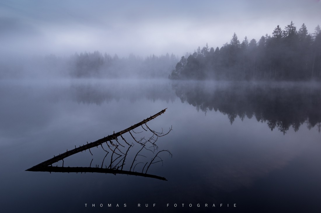 Frühmorgendliche Nebelstimmung über dem stillen Moorsee im Jura – Etang de la Gruère in völliger Ruhe