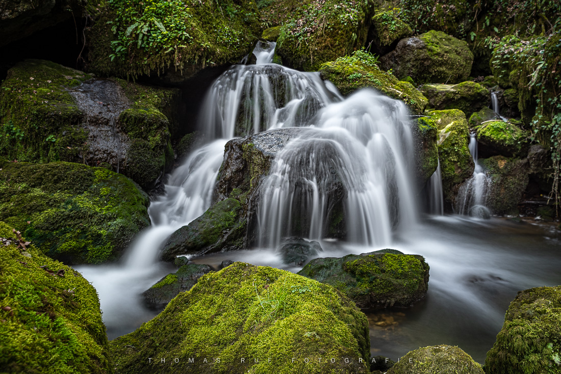 Kleiner Wasserfall im stillen Wald zwischen Baselland und Solothurn – märchenhafte Naturaufnahme